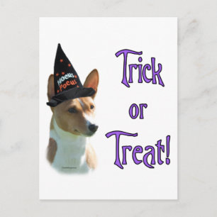 Cartão Postal Basenji Trick