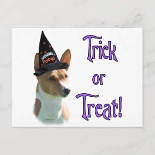 Cartão Postal Basenji Trick