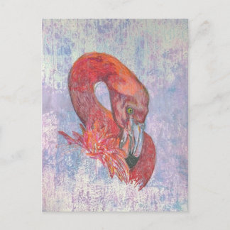 Cartão Postal Bashful Flamingo