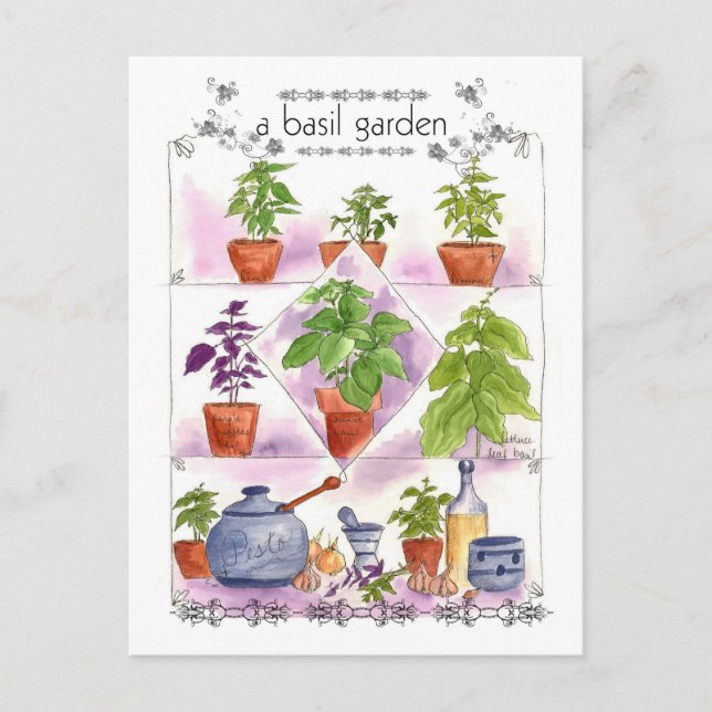 Cartão Postal Basil Garden Watercolor Herb Art Pesto Garlic (Frente)