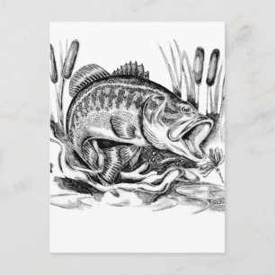 Cartão Postal Bass de Boca Largemouth