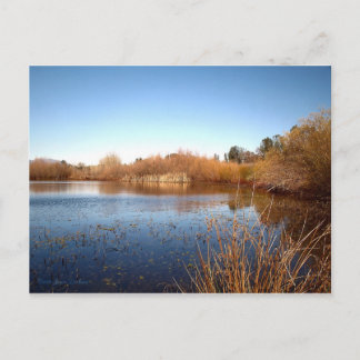 Cartão Postal Bass Pond Um