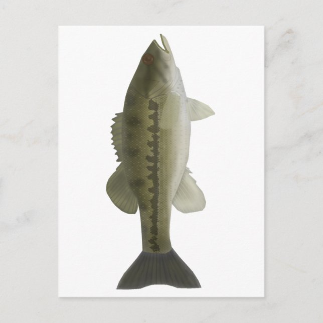 Cartão Postal Bass Visitado (Frente)