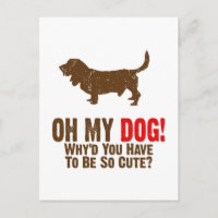 Basset Hound