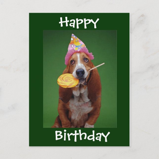 Cartão Postal Basset Hound Birthday (Frente)