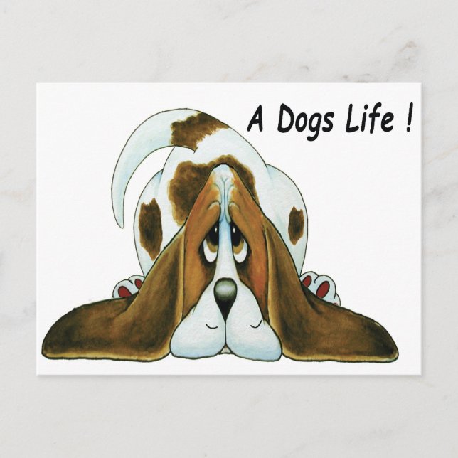 Cartão Postal Basset Hound de desenho animado, vida de cachorro (Frente)