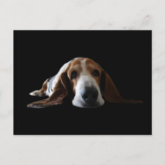 Cartão Postal Basset Hound deitado