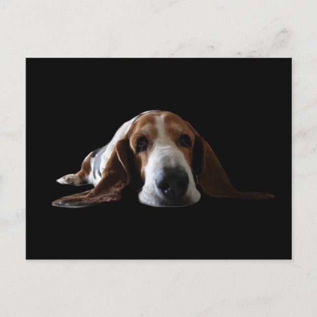 Cartão Postal Basset Hound deitado (Frente)