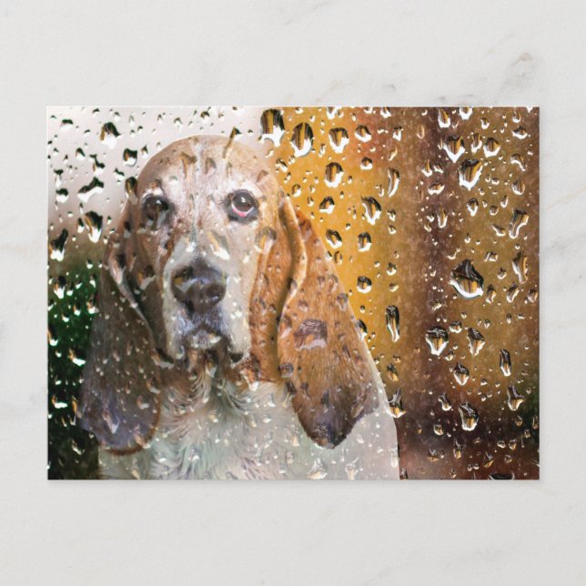 Cartão Postal Basset Hound Miss You (Frente)
