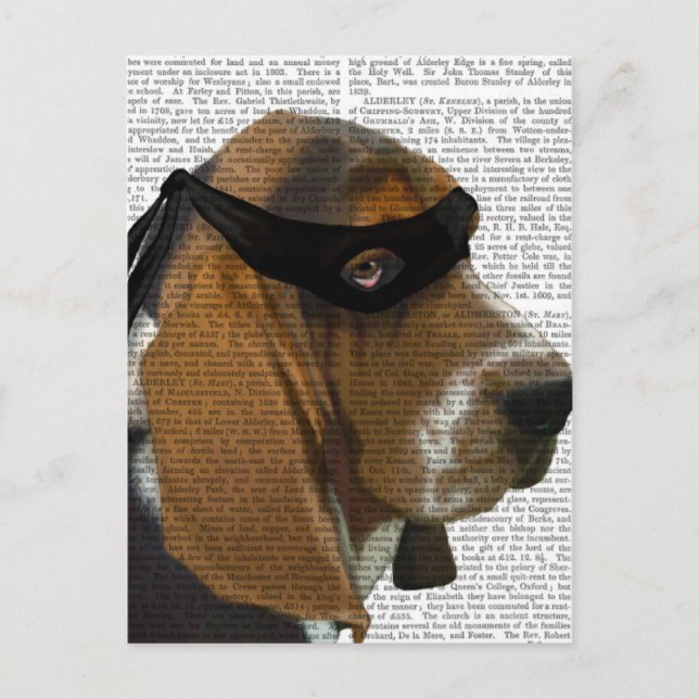 Cartão Postal Basset Hound Ninja (Frente)