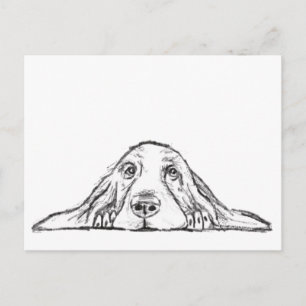 Cartão Postal basset hound preto branco simples olhos de cachorr