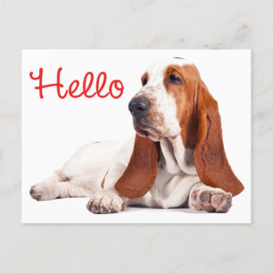 Cartão Postal Basset Hound Puppy Dog Red Olá Pensando em você