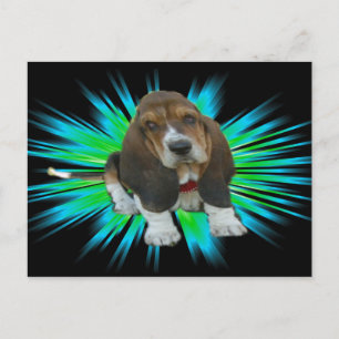 Cartão postal Basset Hound Sheldon