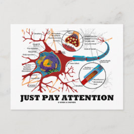 Cartão Postal Basta Prestar Atenção (Neuron / Synapse)
