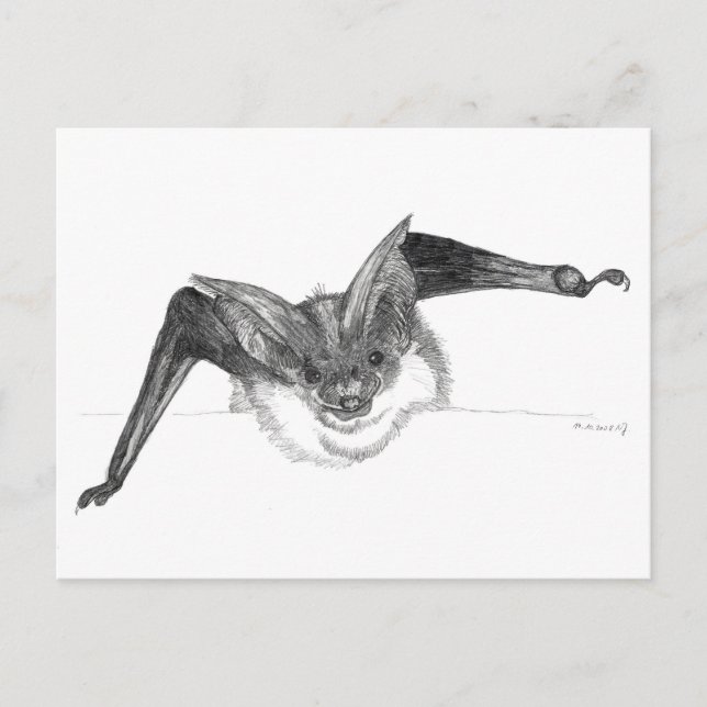 Cartão Postal Bat sketch postcard by Nicole Janes (Frente)