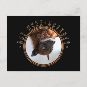Cartão Postal Bat Week, raposa voadora