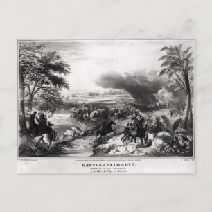 Cartão Postal Batalha de Palo Alto