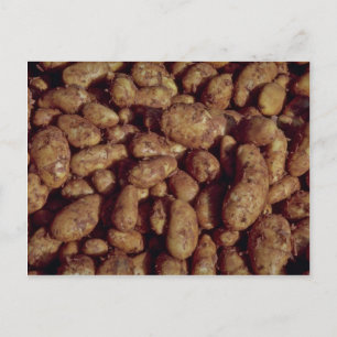 Cartão Postal Batatas