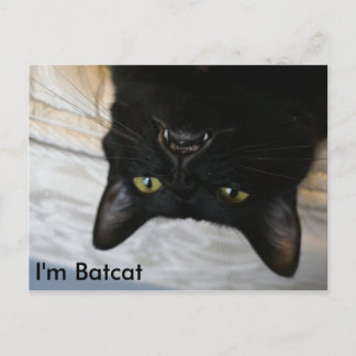 Cartão Postal Batcat: Sou o Cartão-Postal do Batcat