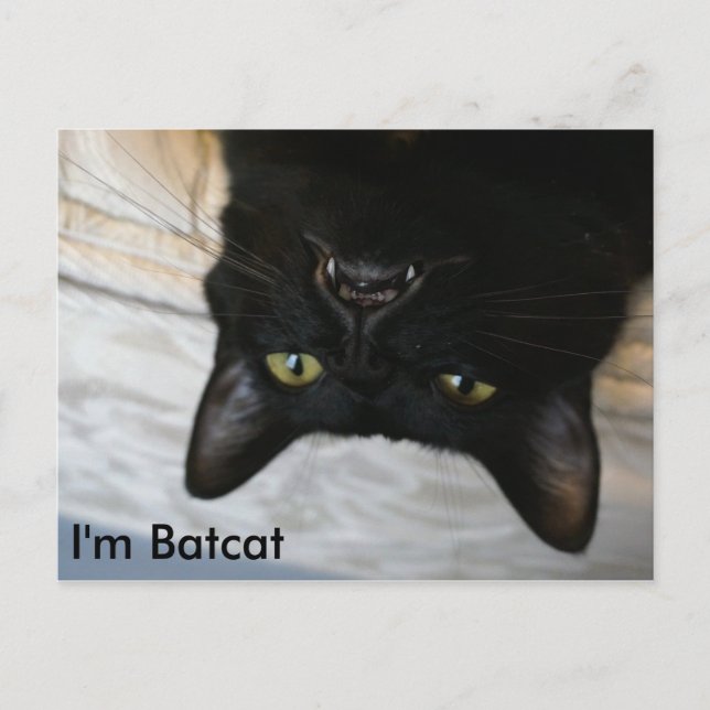 Cartão Postal Batcat: Sou o Cartão-Postal do Batcat (Frente)