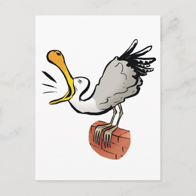 Cartão Postal Bate-papo na gaivota (Frente)