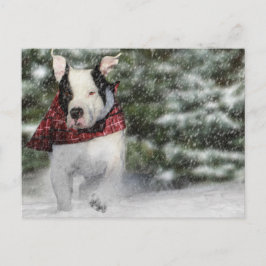 Cartão Postal Batedor de Salvamento de Bulldog Piscando na Neve