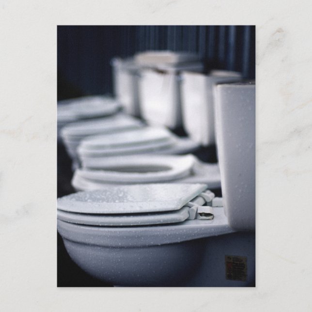 Cartão Postal Bathroom Break! (Frente)