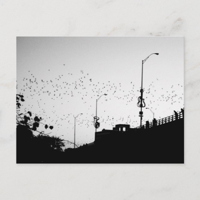 Cartão Postal Bats sobre Austin (Frente)