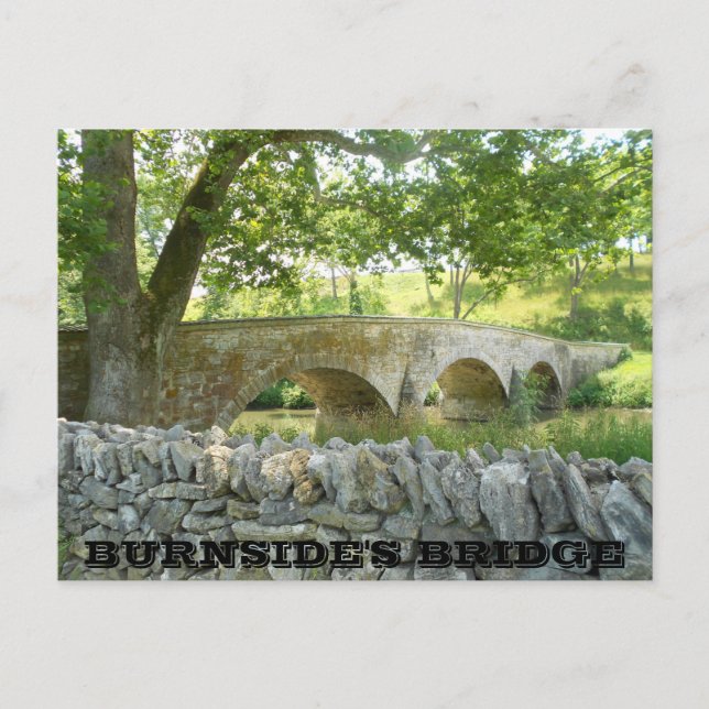 Cartão Postal Battle of Antietam: Burnside's Bridge Postcard (Frente)