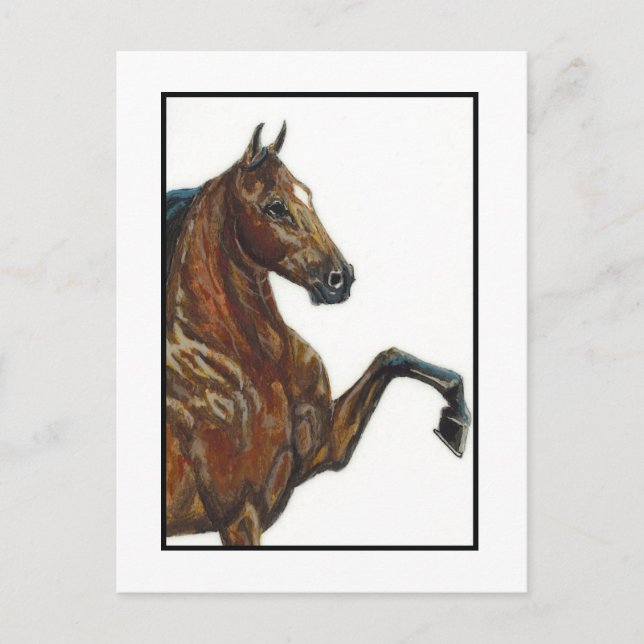 Cartão Postal Bay Harness Pony 3 (Frente)