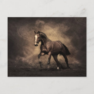 Cartão Postal Bay Horse
