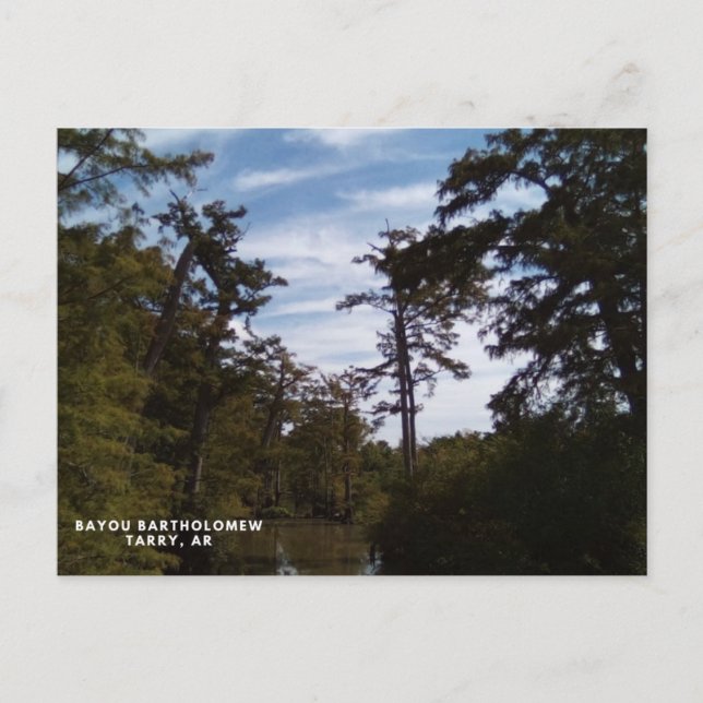 Cartão Postal Bayou Batholomew, Tarry, AR (Frente)