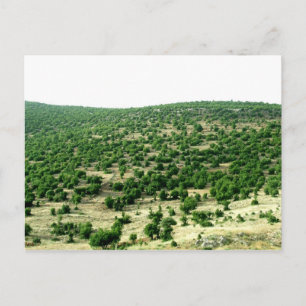 Cartão Postal Bcharre, Líbano