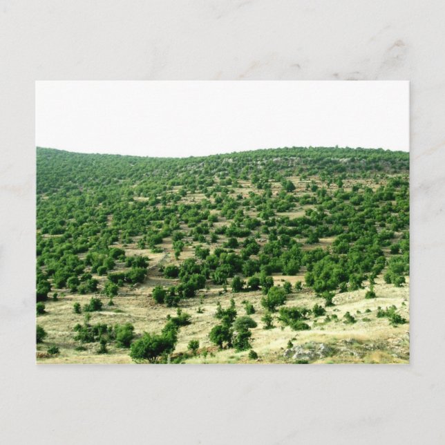 Cartão Postal Bcharre, Líbano (Frente)