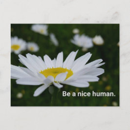 Cartão Postal Be a Nice Human Postcard