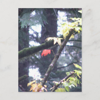 Cartão Postal Be Yourself