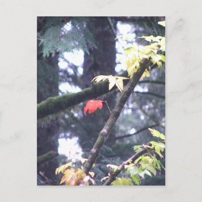 Cartão Postal Be Yourself (Frente)