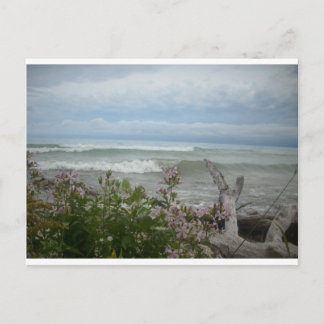 Cartão Postal Beach Flowers