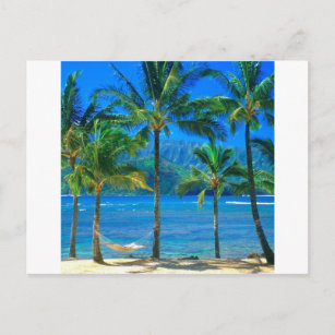 Cartão Postal Beach Hammock Kauai Hawaii