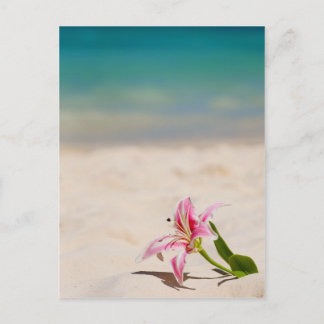 Cartão Postal Beach Lily