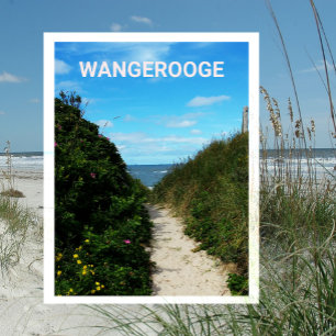 Cartão Postal Beach Path, Sand Dunes, Wangerooge, East Frisia