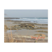 Beach Scense Nova Scotia Rissers Southshore