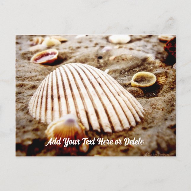 Cartão Postal Beach Seashells na Tailândia Krabi, Cartão-postal (Frente)