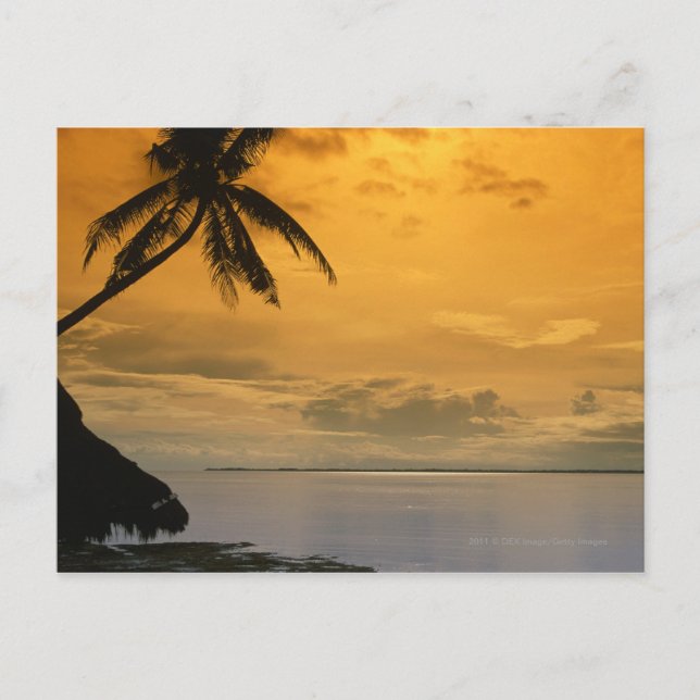 Cartão Postal Beach sunset (Frente)