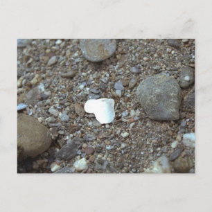Cartão Postal Beach Wedding Seashell Heart