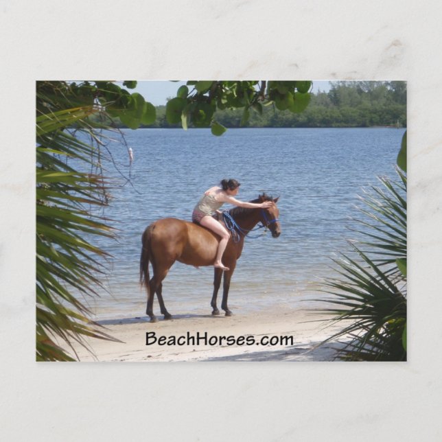 Cartão Postal BeachHorses.com (Frente)