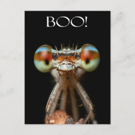 Cartão Postal Beady-Eyed Damselfly
