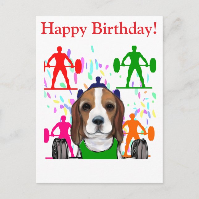 Cartão Postal Beagle  (Frente)