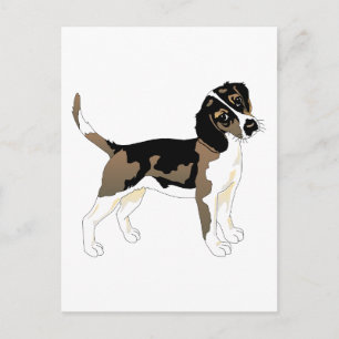 Cartão Postal Beagle Dog Pet Animal Paz Amor