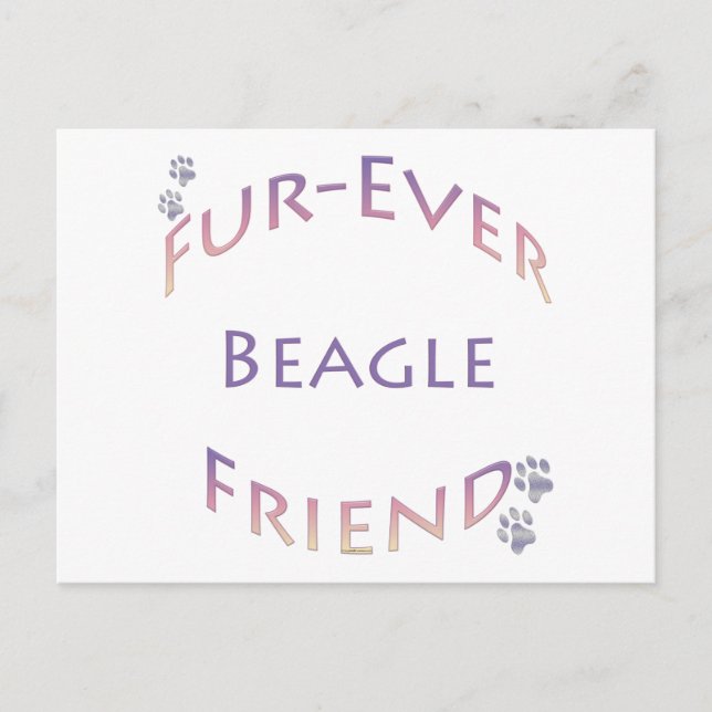 Cartão Postal Beagle Fuere (Frente)